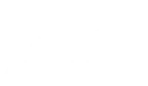 Algorithm+ white logo